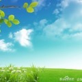 而且好像能看到其他人的牌一样14